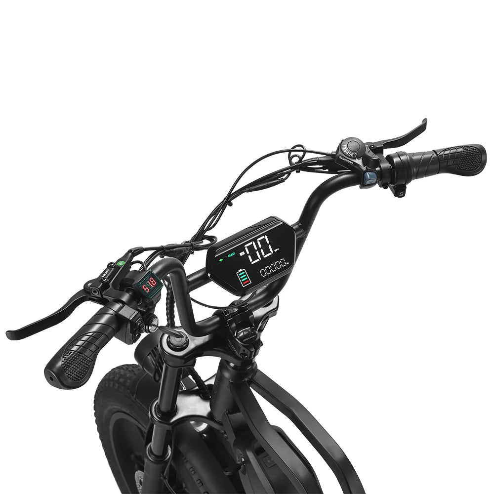 Happyrun Tank G60 Electric Bike